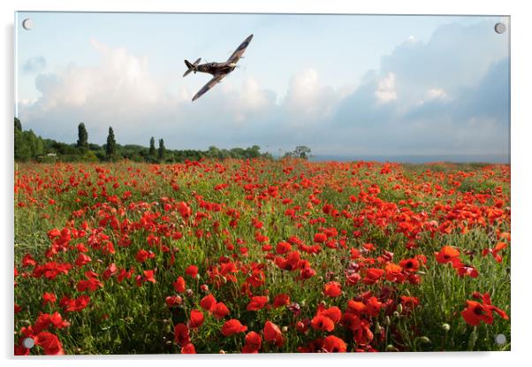 Poppies and Polish Spitfire Vb Acrylic by Gary Eason