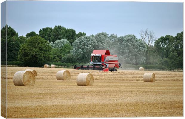 harvesting the wheat crop Canvas Print by graham young