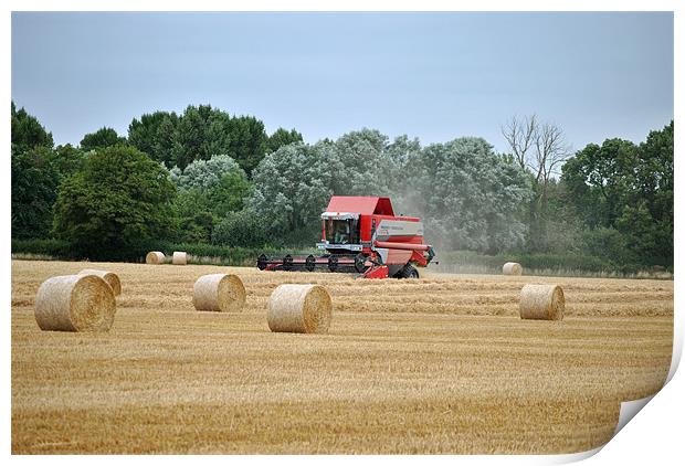 harvesting the wheat crop Print by graham young