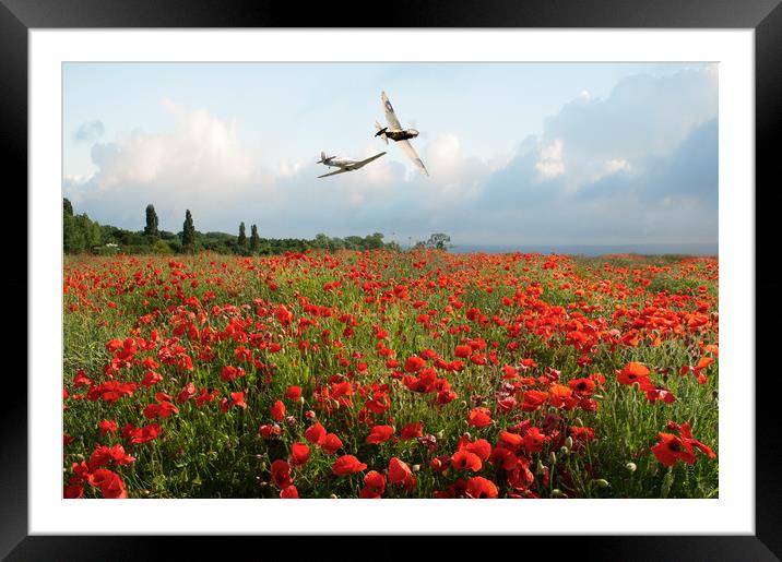 Hurricane and Spitfire over poppy field Framed Mounted Print by Gary Eason