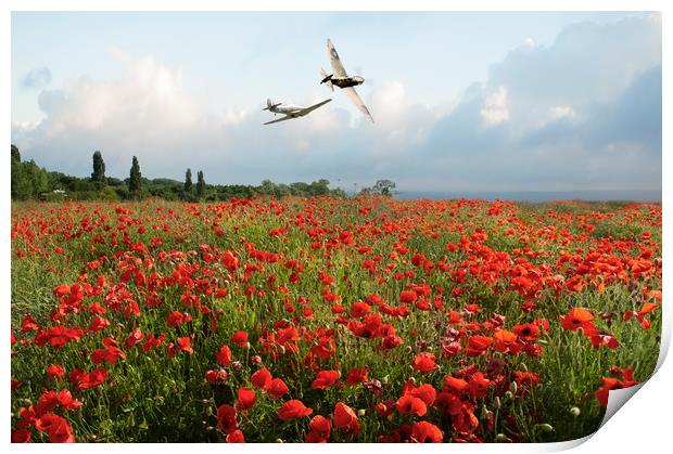 Hurricane and Spitfire over poppy field Print by Gary Eason