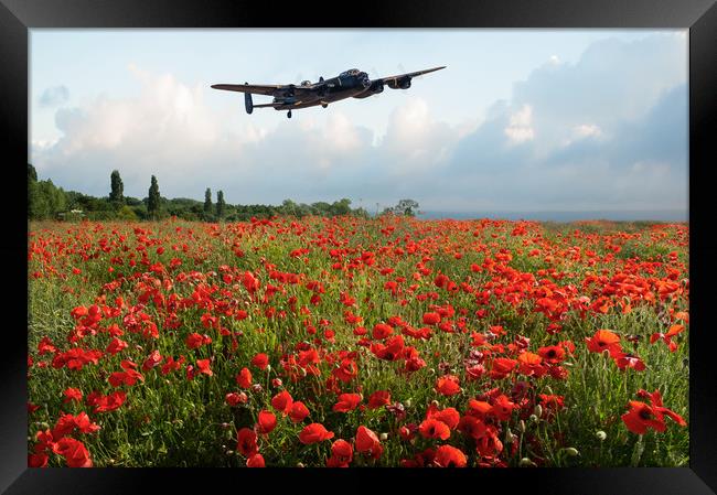 Poppies and Avro Lancaster  Framed Print by Gary Eason