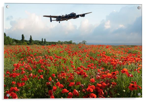Poppies and Avro Lancaster  Acrylic by Gary Eason