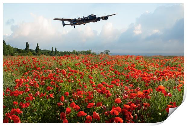 Poppies and Avro Lancaster  Print by Gary Eason