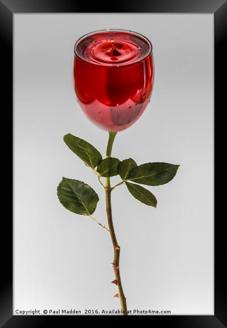 A glass of rose Framed Print by Paul Madden