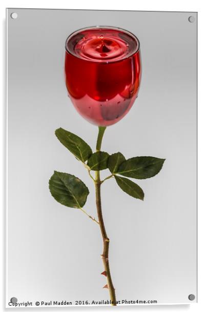 A glass of rose Acrylic by Paul Madden