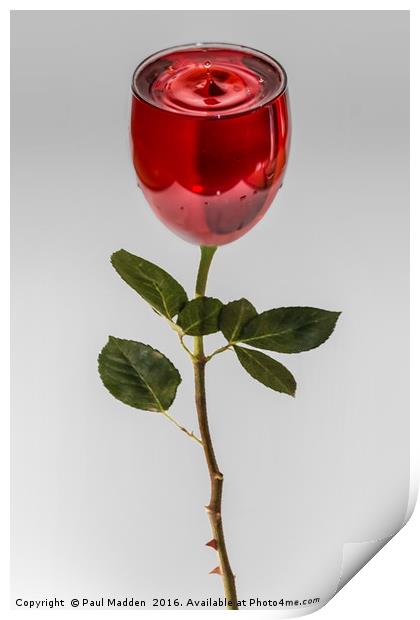 A glass of rose Print by Paul Madden