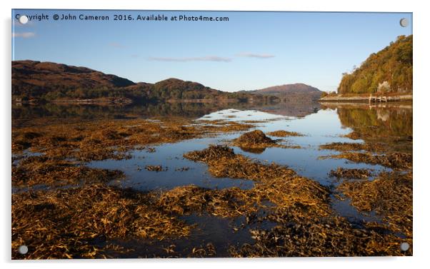 Loch Moidart in Autumn. Acrylic by John Cameron