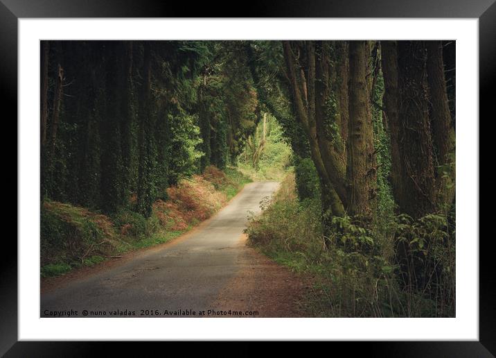 Road in the forest Framed Mounted Print by nuno valadas