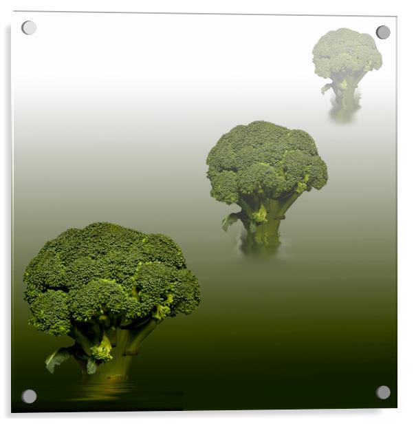 Broccoli Green Veg Acrylic by David French