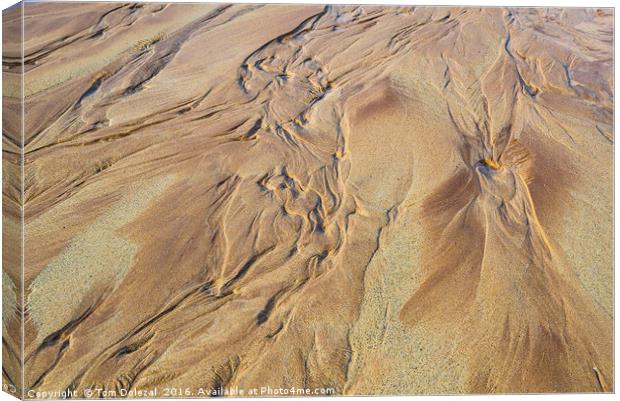 Sand patterns Canvas Print by Tom Dolezal