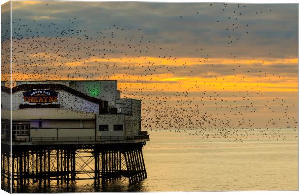 Blackpool north pier  Canvas Print by chris smith