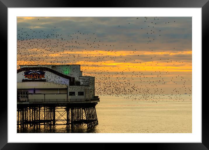 Blackpool north pier  Framed Mounted Print by chris smith