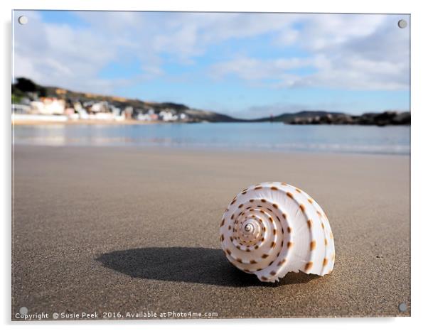 Deserted Beach - Lyme Regis Acrylic by Susie Peek