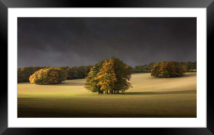 Autumn on th Downs Framed Mounted Print by Ian Hufton