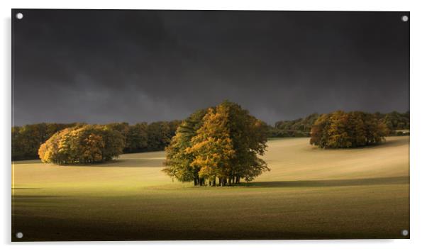 Autumn on th Downs Acrylic by Ian Hufton