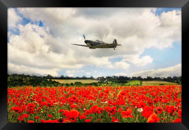 Mk1 Spitfire Poppy Flypast Framed Print by J Biggadike