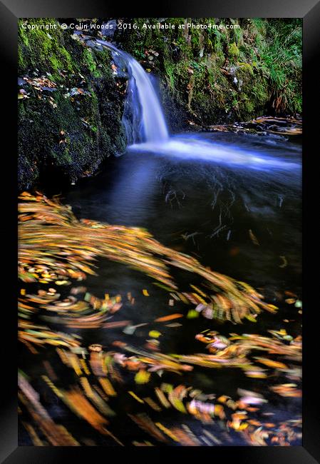 Autumn Leaves moving in a River Framed Print by Colin Woods
