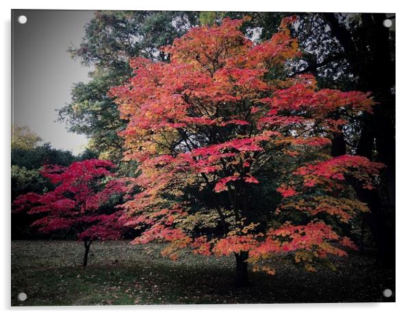Autumn is Coming Acrylic by Steve Marriott