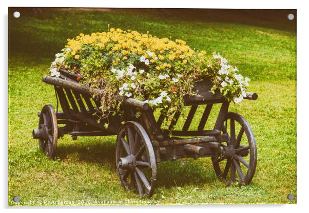 Flower Country Wagon On Green Grass Acrylic by Radu Bercan