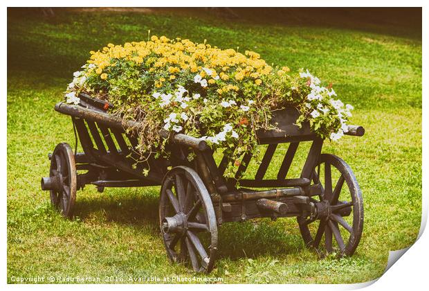Flower Country Wagon On Green Grass Print by Radu Bercan