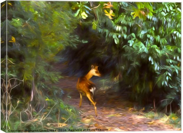 Fawn forest Canvas Print by Sharon Lisa Clarke