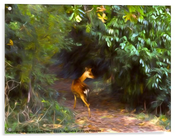 Fawn forest Acrylic by Sharon Lisa Clarke