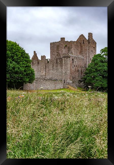 Craigmillar Castle Ruins Framed Print by Antony McAulay