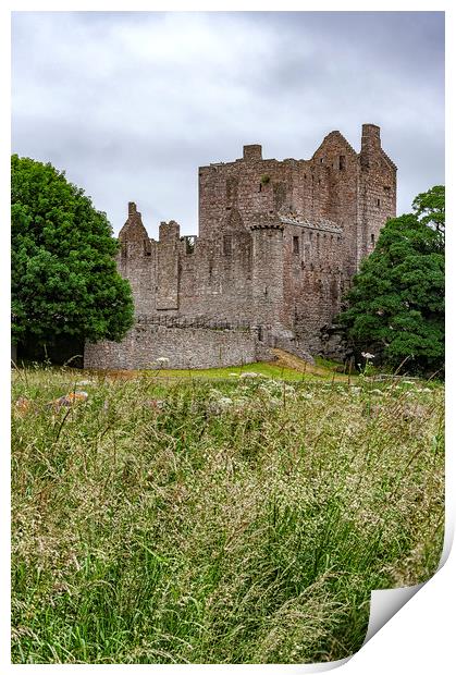 Craigmillar Castle Ruins Print by Antony McAulay