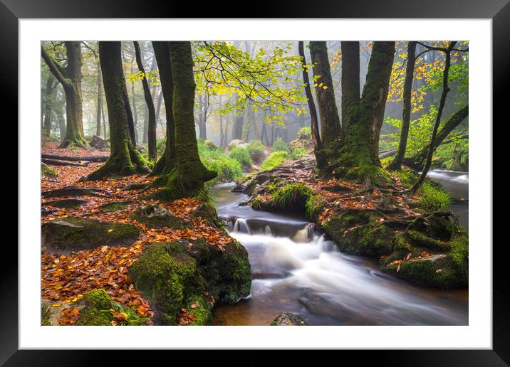 Golitha Falls  Framed Mounted Print by Michael Brookes
