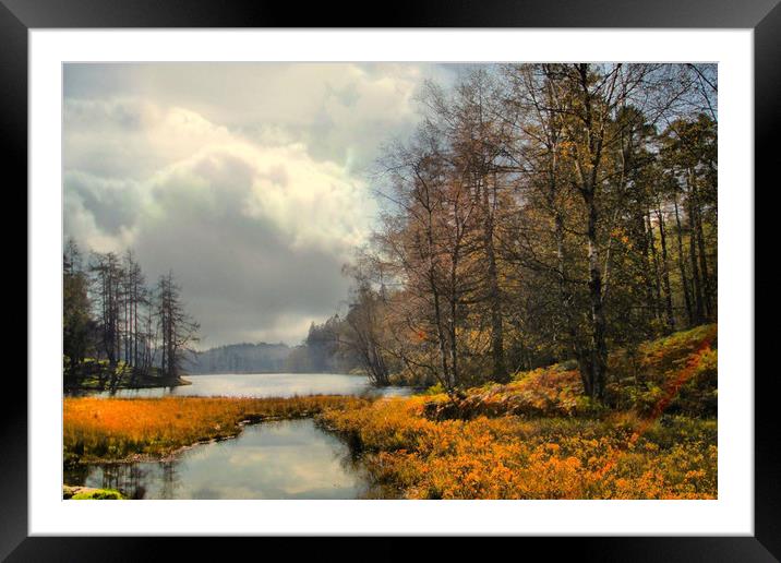 Tarn Hows in Autumn Framed Mounted Print by Irene Burdell