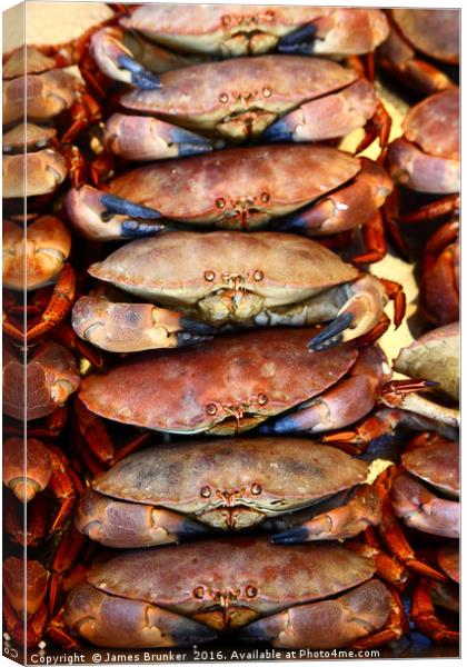Edible Crabs Stacked up on Market Stall Canvas Print by James Brunker