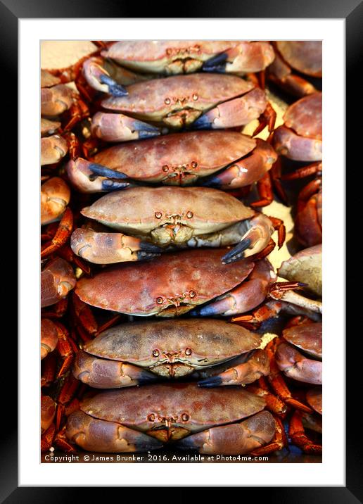 Edible Crabs Stacked up on Market Stall Framed Mounted Print by James Brunker