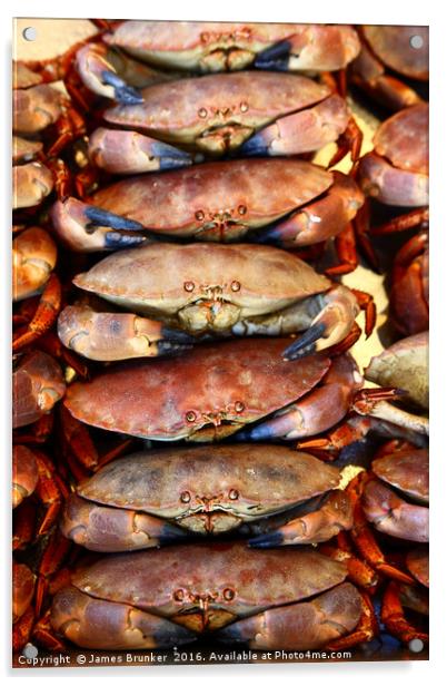 Edible Crabs Stacked up on Market Stall Acrylic by James Brunker