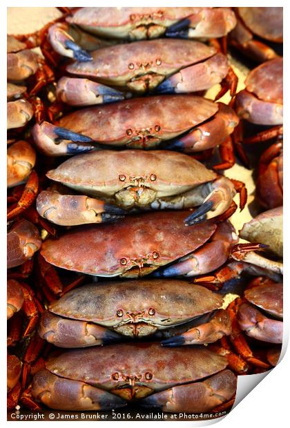 Edible Crabs Stacked up on Market Stall Print by James Brunker