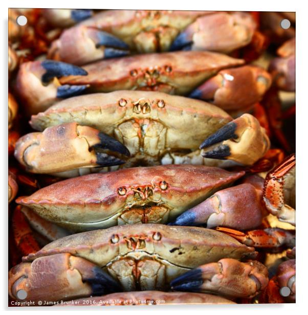 Unhappy Edible crabs (Cancer pagurus) Acrylic by James Brunker