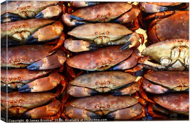 Edible Crabs are NOT Amused! Canvas Print by James Brunker