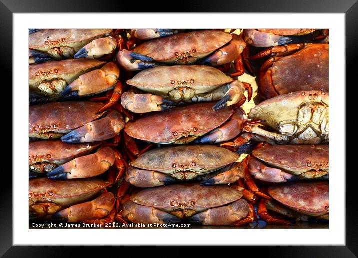 Edible Crabs are NOT Amused! Framed Mounted Print by James Brunker