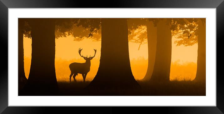 Spaces Framed Mounted Print by Stephen Darlington