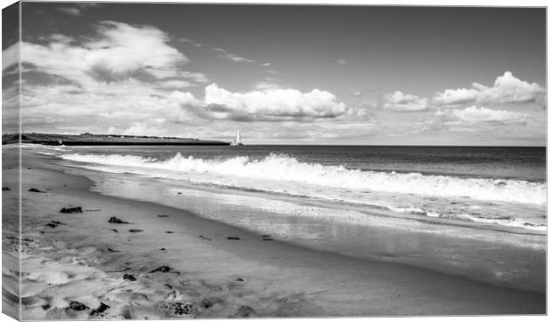 Beach view to St. Marys Lighthouse Mono Canvas Print by Naylor's Photography