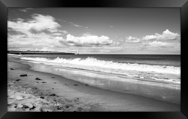 Beach view to St. Marys Lighthouse Mono Framed Print by Naylor's Photography