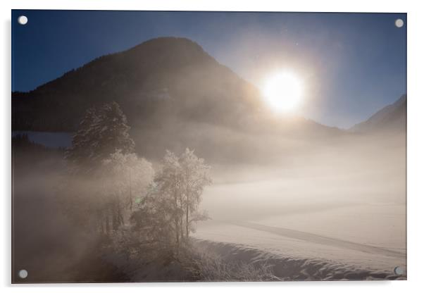Misty winter morning Acrylic by Thomas Schaeffer