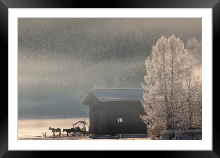 Misty winter morning Framed Mounted Print by Thomas Schaeffer
