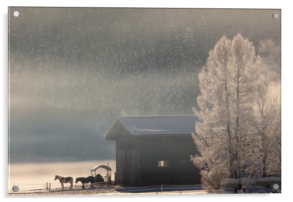 Misty winter morning Acrylic by Thomas Schaeffer