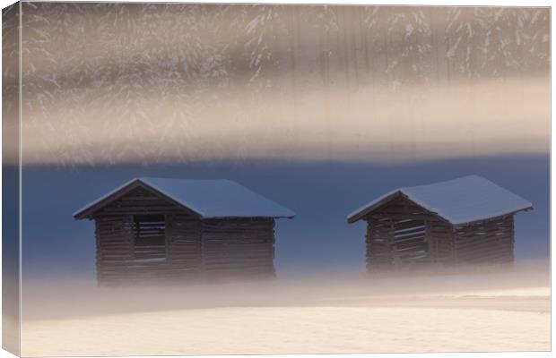 Misty winter morning Canvas Print by Thomas Schaeffer
