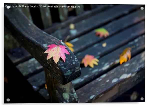 Autumn leaf  Acrylic by Shaun Jacobs
