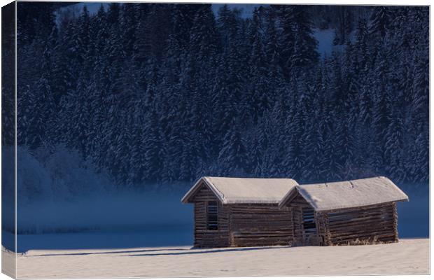 Misty winter morning Canvas Print by Thomas Schaeffer