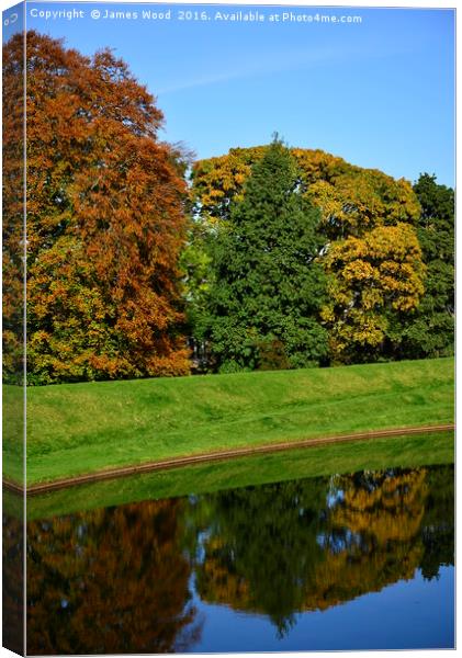 Autumn Reflections Canvas Print by James Wood