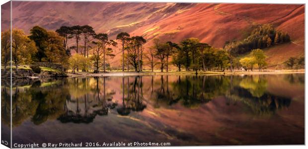 Buttermere Reflections Canvas Print by Ray Pritchard