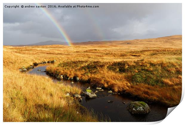 STREAM AND RAINBOW Print by andrew saxton
